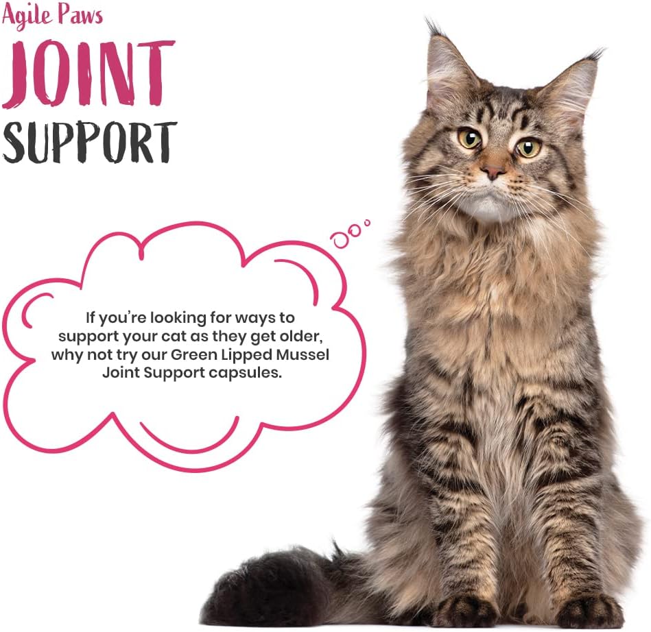 60 Pawbits Joint Support for Cats Tablets for Stiff & Mature Adult Cats Anti-Inflammatory Relief Supplements, Green Lipped Mussel, Glucosamine & Hyaluronic Acid Sprinkle Capsules (60) :Pet Supplies