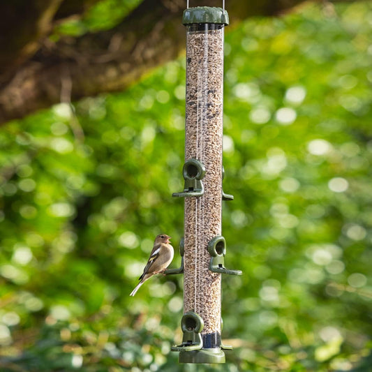 Jacobi Jayne Rp3-S3G Ring-Pull Click Large Seed Feeder, Green BirdRp3-S3G