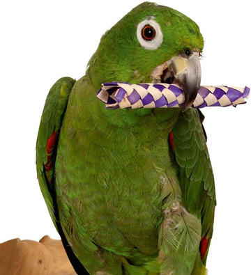 Super Bird Woven Paper Sticks Foot Toys For Parrots Pack Of 12