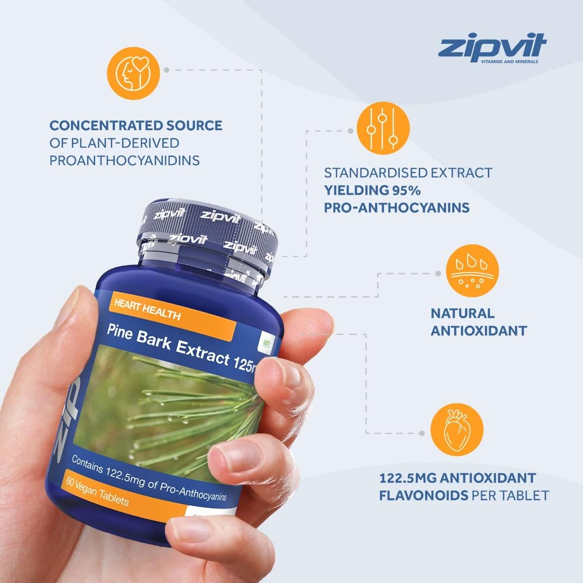 Zipvit Pine Bark Extract 125mg, High Strength Supplement, 95% Proanthocyanides, 60 Vegan Tablets, 2 Months Supply : Amazon.co.uk: Health & Personal Care