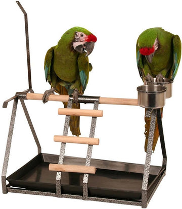 Tabletop Parrot Stand With Toy Hanger & Feeder Antique221102Np