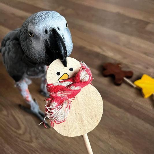 Large Festive Lollipop Parrot Foot Toys - Pack Of 4