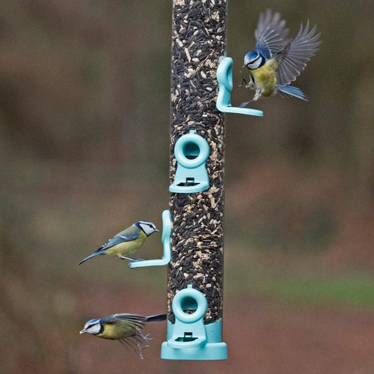 Jacobi Jayne Flo-S1B Bird Feeder, Aqua, LargeFlo-S3B