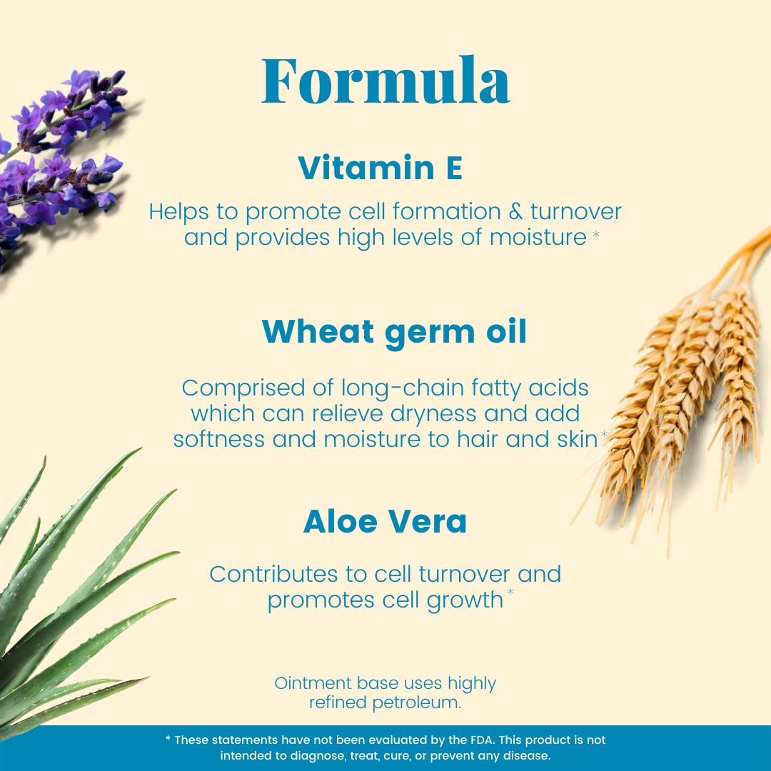 Basic Brands - Vitamin E Ointment - 2 oz - Moisture Enhancing - Can Help Reduce Appearance of Scars, Stretch Marks, Fine Lines & Wrinkles - 3-Pack : Health & Household