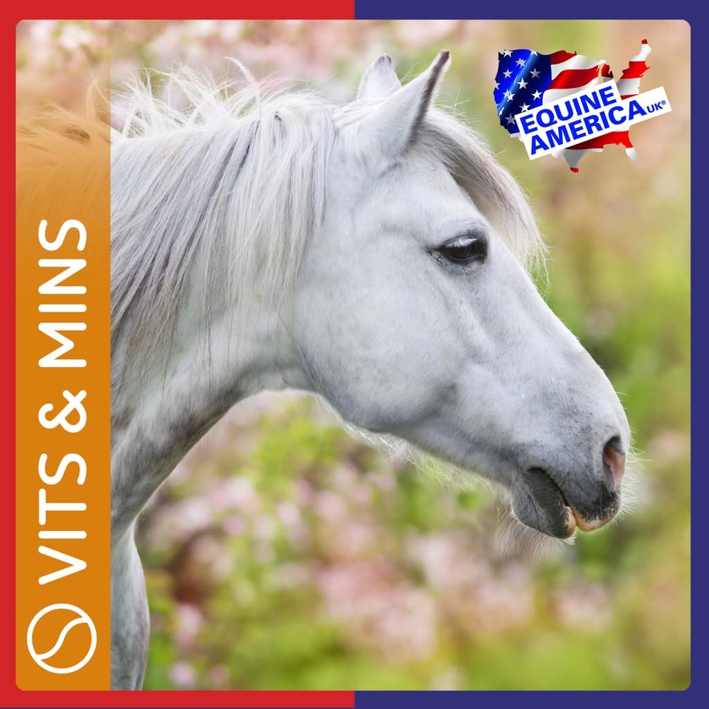 Equine America Vitamin E & Selenium Powder Solution : Amazon.co.uk: Pet Supplies