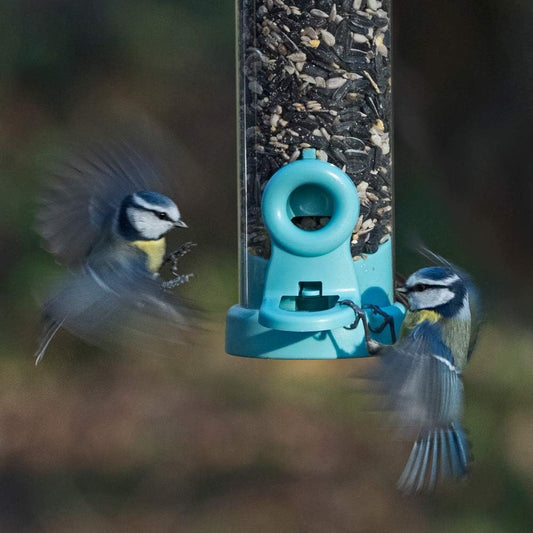 Jacobi Jayne Flo-S1B Bird Feeder, Aqua, SmallFlo-S1B