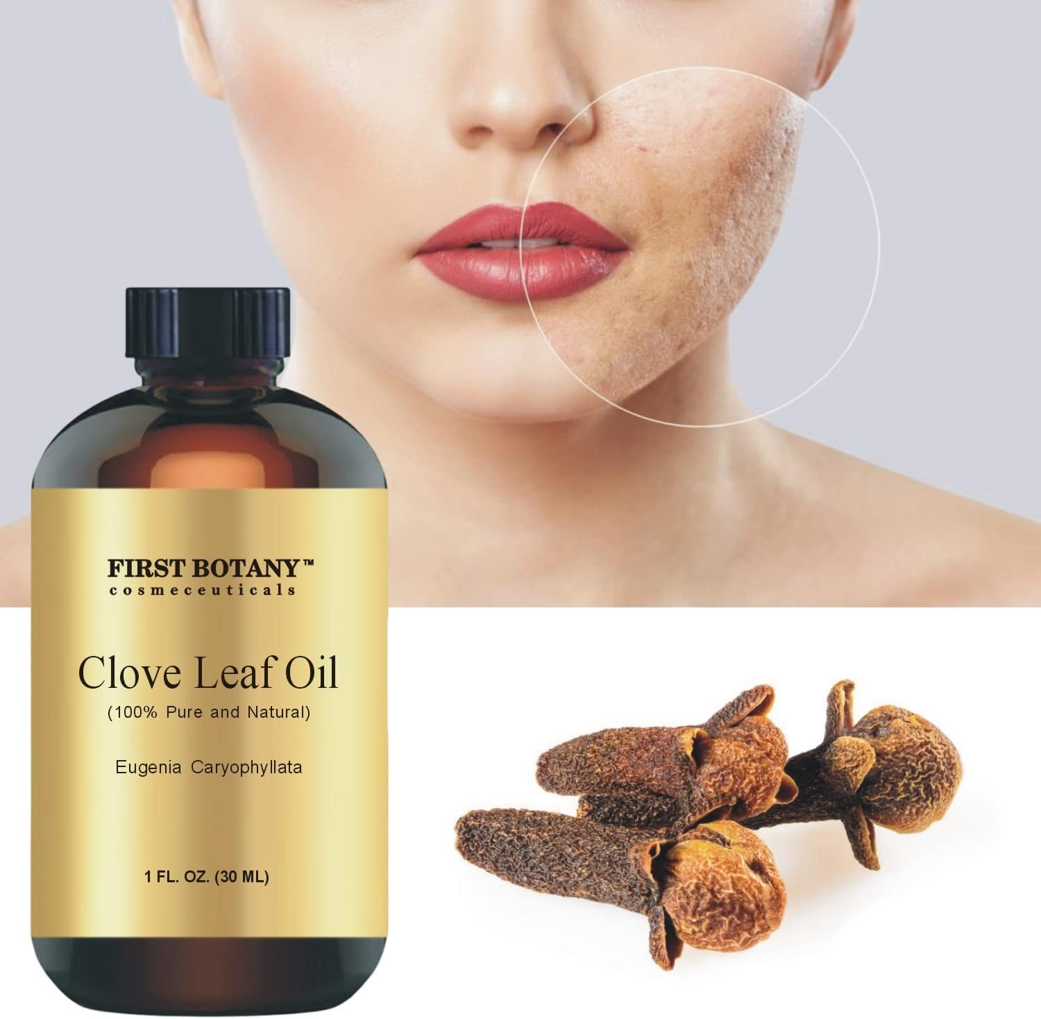 100% Pure Clove Essential Oil - Premium Clove Oil for Aromatherapy, Ma