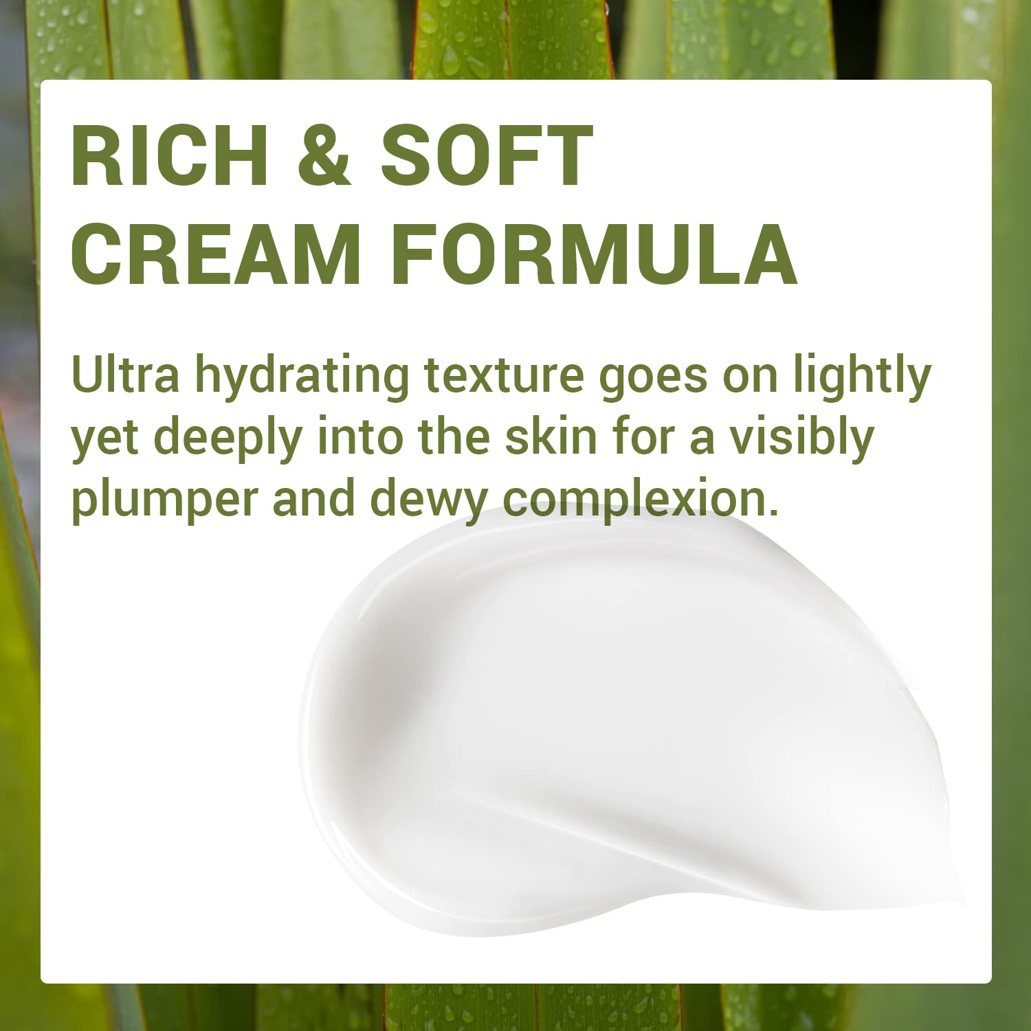 Thesaem Urban Eco Harakeke Deep Moisture Cream 1.69 Oz. - Vegan Ultra Moisturizing And Nourishing Day & Night Moisturizer - Firming Healthy Looking Skin - Harakeke Root Extract And Ceramides : Beauty & Personal Care