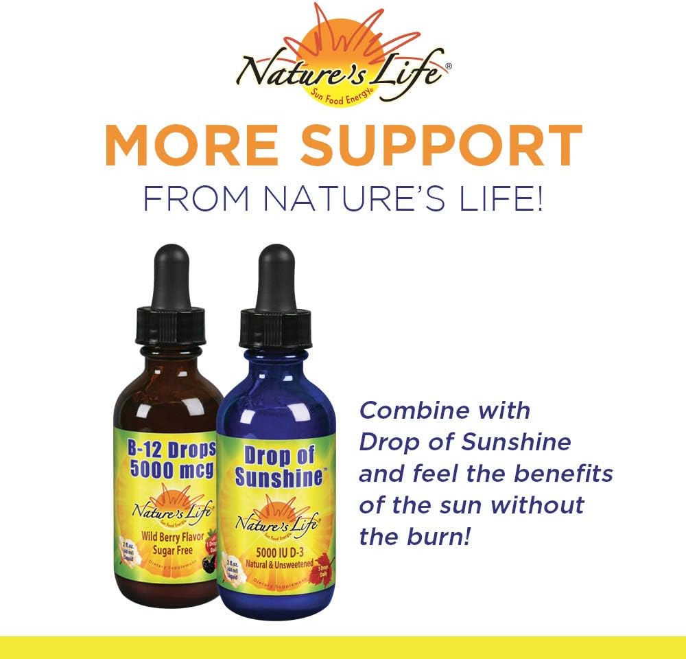 Nature's Life B-12 Drops, Methlycobalamin 4 oz (2 Fl Oz (Pack of 1)) : Health & Household