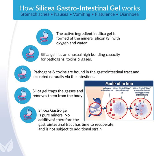 Hubner 500Ml Silicea Gastrointestinal Gel