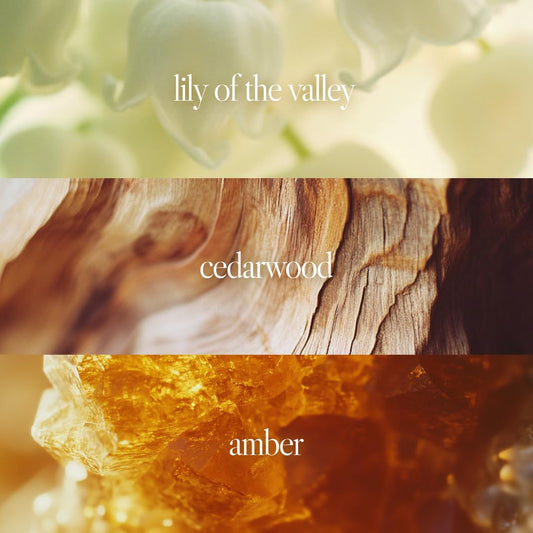 Noteworthy N,551 Amber Sunset Eau De Parfum – Lily Of The Valley, Amber, Sandalwood | Sophisticated, Warm Fragrance For Any Occasion | Long-Lasting Unisex Perfume For Women & Men (50Ml)