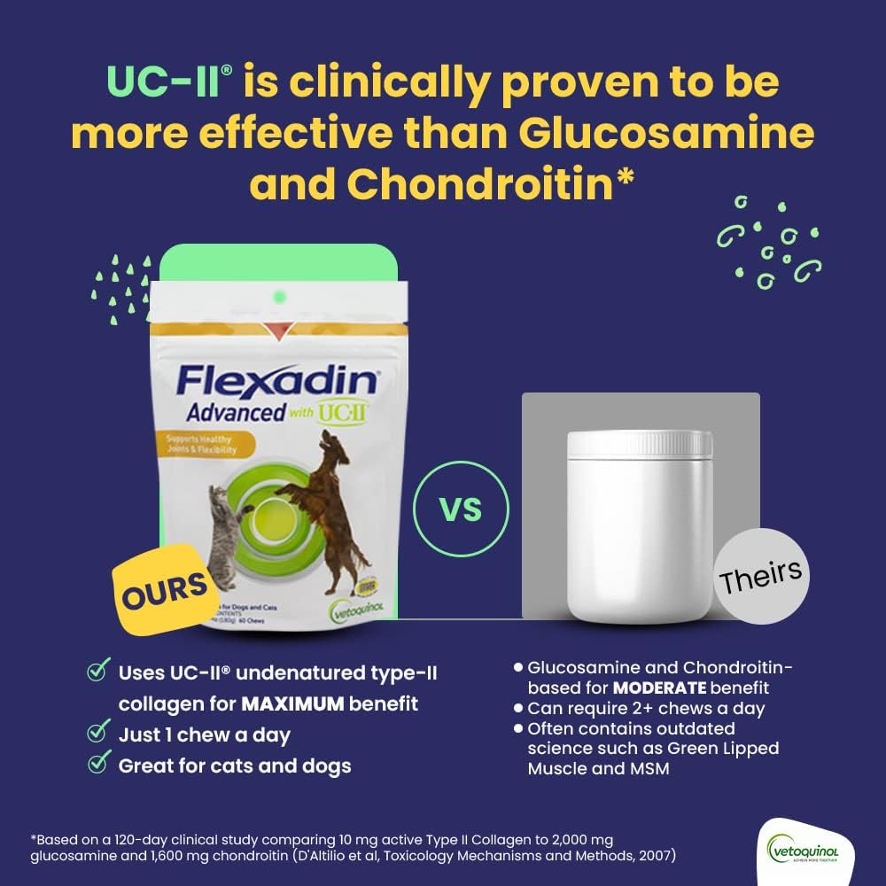 Vetoquinol Flexadin Advanced Dog Hip and Joint Supplement with UC-II Collagen, One Chew a Day Hip and Joint Support Chew for Dogs and Cats, Clinically Proven Vet-Approved Formula, 30 Chews : Pet Bone And Joint Supplements : Pet Supplies