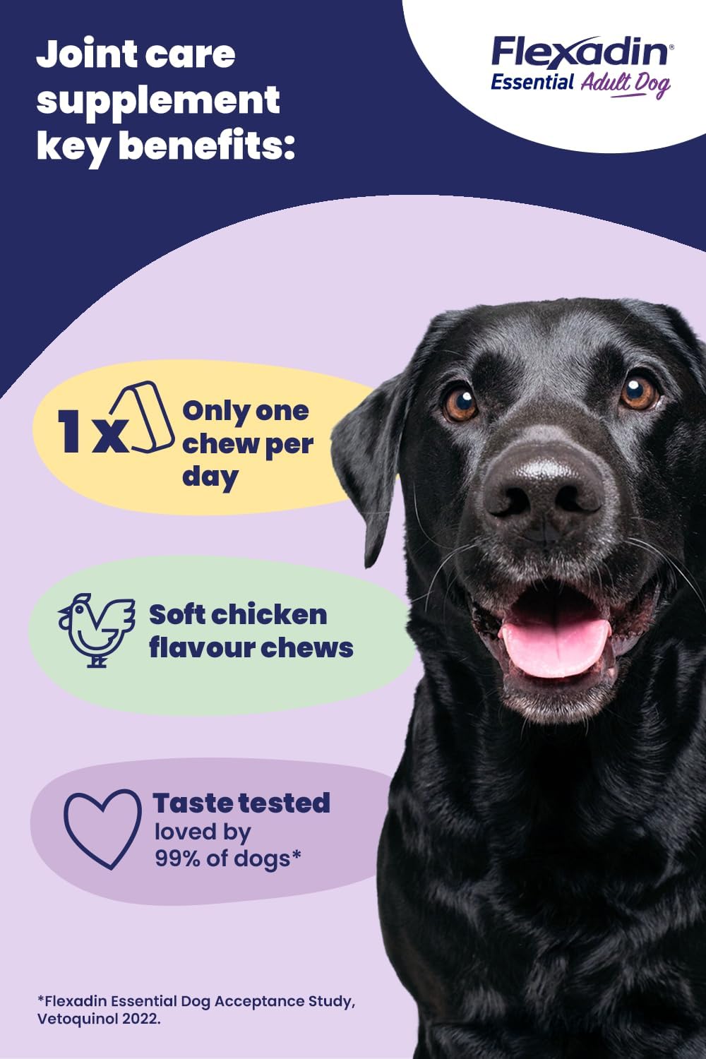 Flexadin Essential Joint Care Supplement for Adult Dogs containing Undenatured Type II Collagen, Omega 3 & Vitamin E/Promoting long-term joint health, mobility & flexibility / 60 chew pack : Amazon.co.uk: Pet Supplies