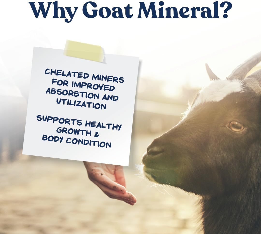 Manna Pro Goat Mineral | Made with Viatimins & Minerals to Support Growth | 8 Pounds : Pet Care Products : Pet Supplies