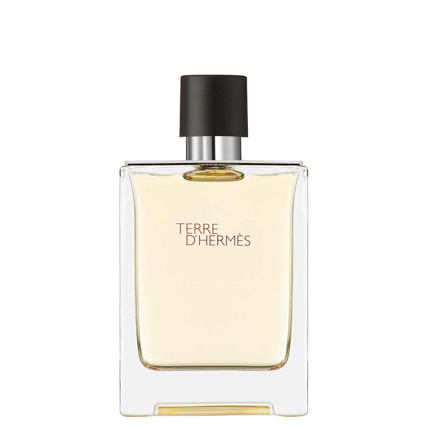 Hermes Terre D'Hermes Eau De Toilette Spray 100Ml/3.4Oz : Beauty & Personal Care