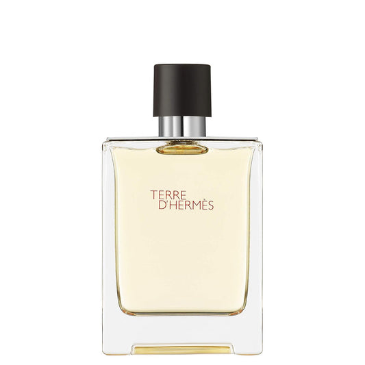 Hermes Terre D'Hermes Eau De Toilette Spray 100Ml/3.4Oz : Beauty & Personal Care