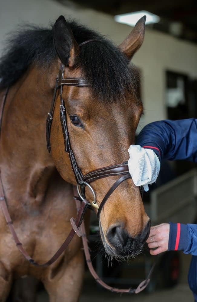 Carr & Day & Martin Belvoir Step 1 Tack Cleaner Mitts Package of 10 : Amazon.co.uk: Pet Supplies