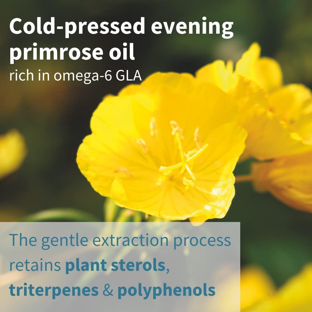 Vegepa Omega 3 Wild Fish Oil & Evening Primrose Oil Blend, 560 mg EPA