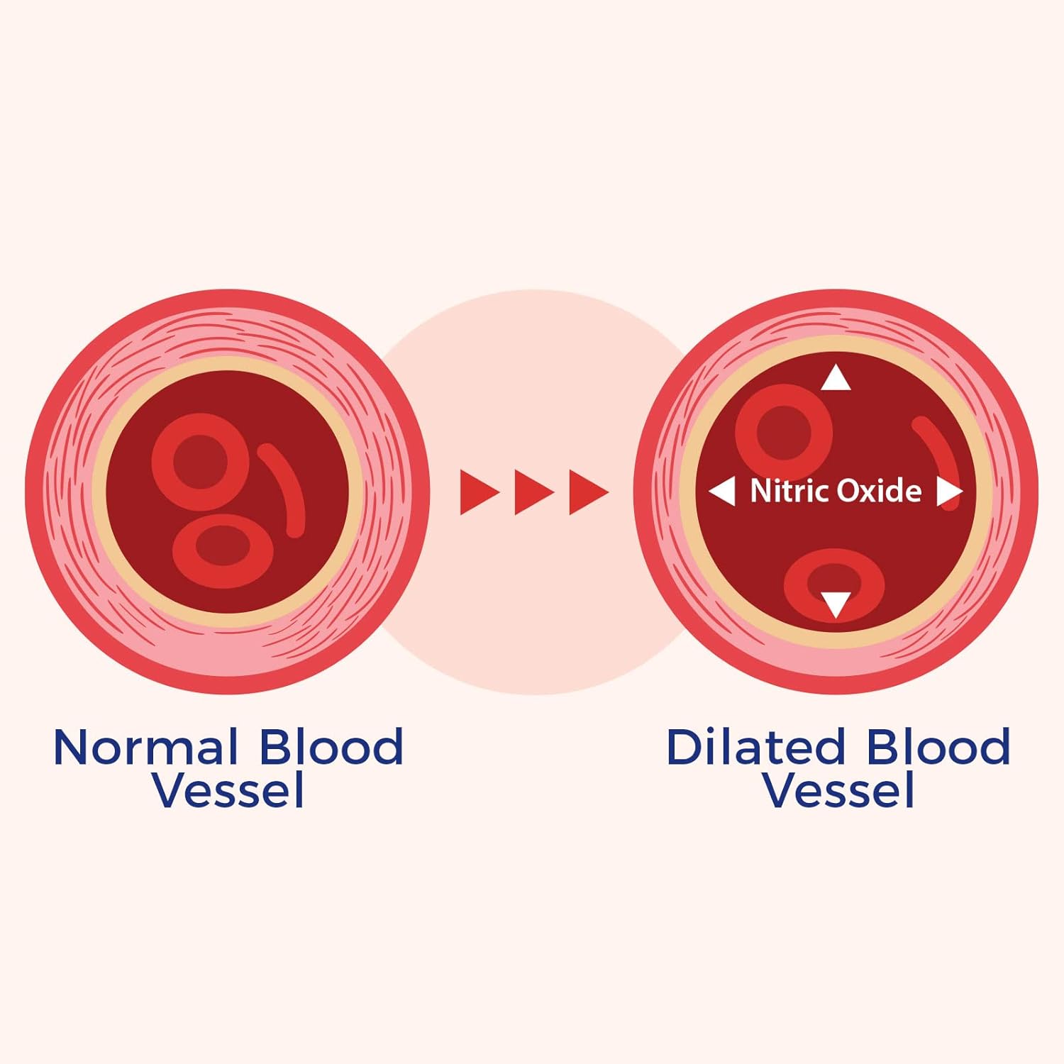 Buy Xtendlife Vasqflow Natural Nitric Oxide Booster Supplement - Circulation & Blood Flow Support With Red Spinach Extract & Aged Garlic - Energy, Heart Health, Muscle Support - 1 Month Supply (90 Count) On  Free Shipping On Qualified Orders