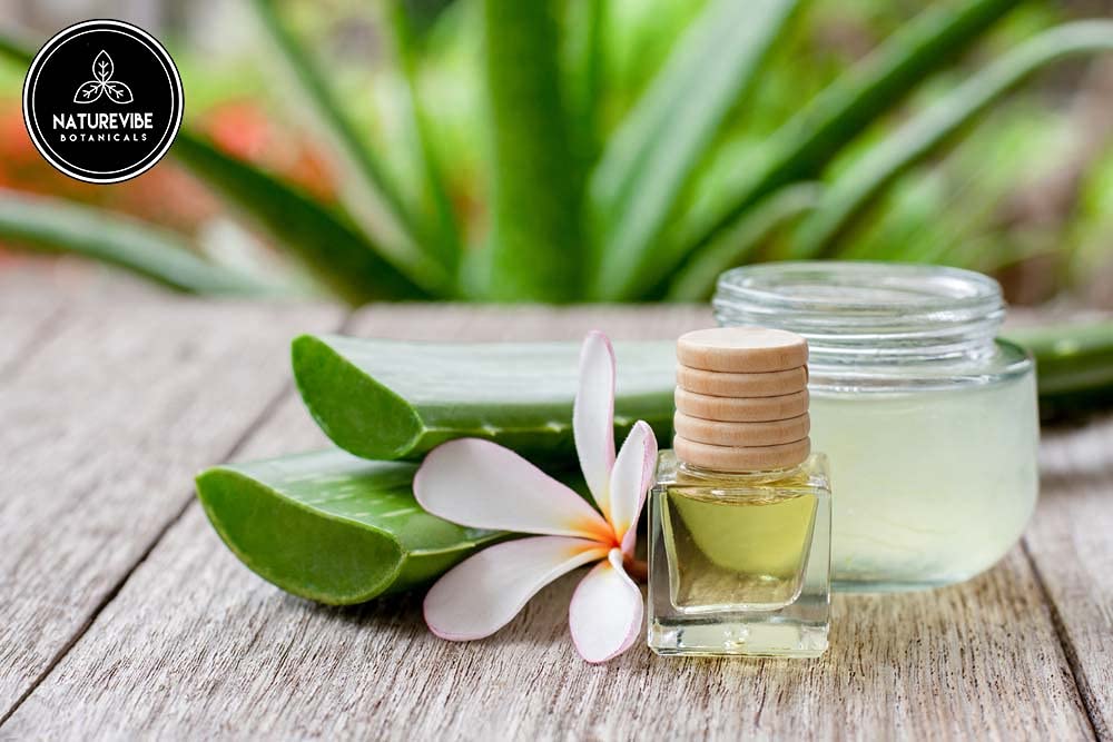 Naturevibe Botanicals Aloevera Oil 32 Ounces | 100% Pure & Natural | Cold Pressed | Hair and Skin Care | Body Oil (946 ml) : Health & Household