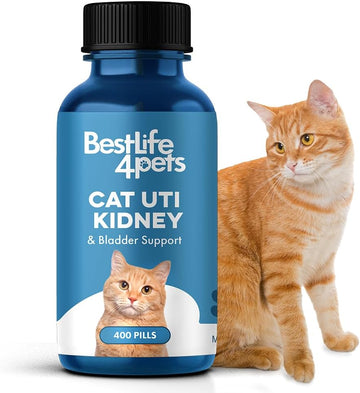 Bestlife4Pets Cat Uti Urinary Tract Infection & Kidney Support Treatment - All Natural Medicine To Stop Frequent Urination - Cats Renal Health And Bladder Control - Easy To Use Natural Pills