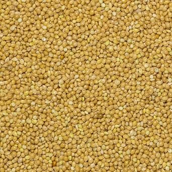 Wholefood Earth Organic Millet Grain – 1 Kg | Gmo Free | Vegan | High Fibre | Certified Organic (Pack Of 5)