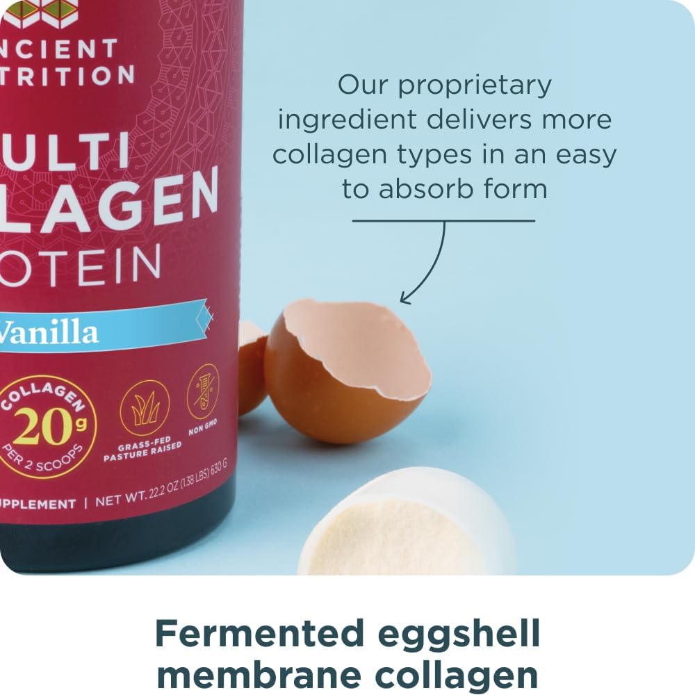 Ancient Nutrition Collagen Powder Protein with Probiotics, Multi Collagen Protein with Vitamin C, Hydrolyzed Collagen Peptides Supports Skin and Nails, Gut Health (60 Servings, Vanilla)… : Health & Household