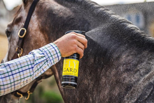 Carr & Day & Martin Flygard Insect Repellent Spray 500Ml