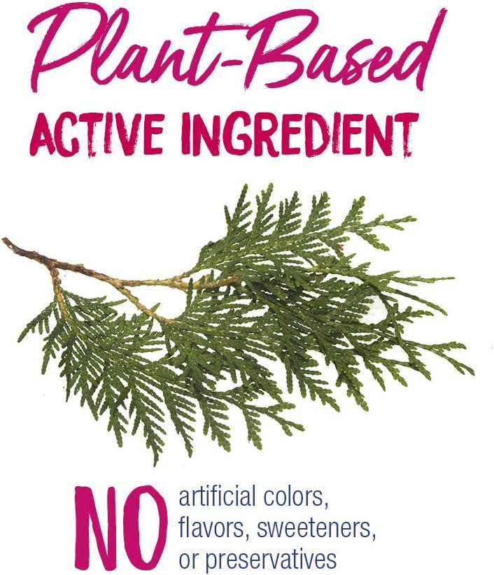 Boiron Thuja Occidentalis 30C Wart Removal Homeopathic Medicine For Painless Removal Of Warts From Plantar (Feet), Hands, And Other Bodily Warts - 3 Count (240 Pellets) : Electronics