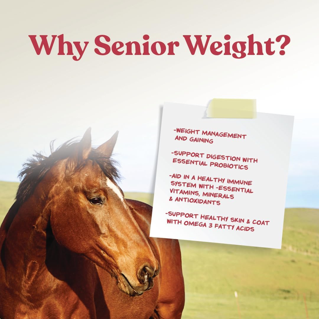 Manna Pro Weight Accelerator for Senior Horses | Made with Omega 3 Fatty Acids from Flaxseed | 8 Pounds : Pet Supplies