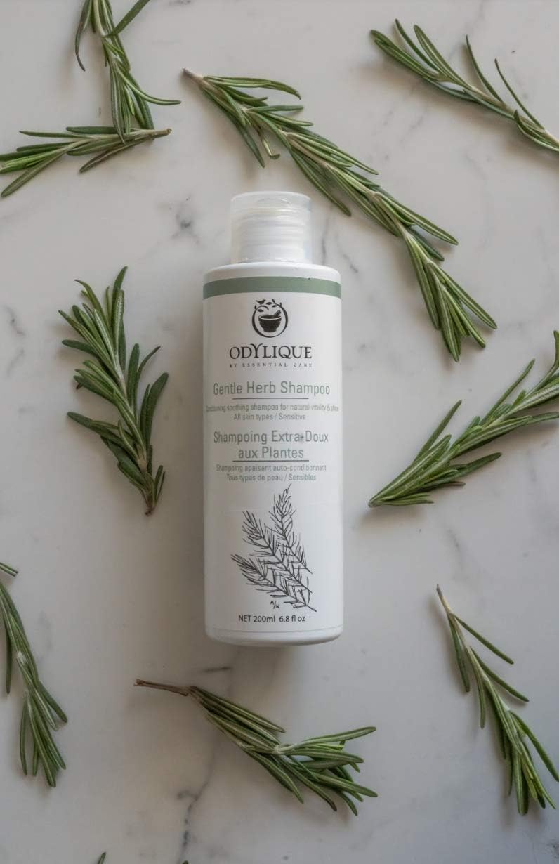 Odylique Organic & Natural Tea Tree Shampoo 500ml | For Itchy Scalp | Vegan & 100% Natural | Sulphate Free Shampoo & Silicone Free | Salt Free : Amazon.co.uk: Beauty