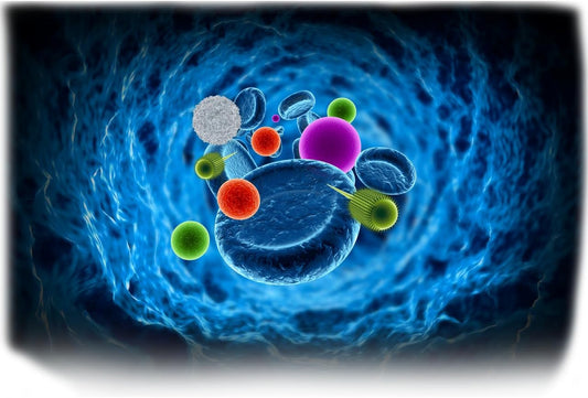 Equine America Vitamin E & Selenium Powder Solution