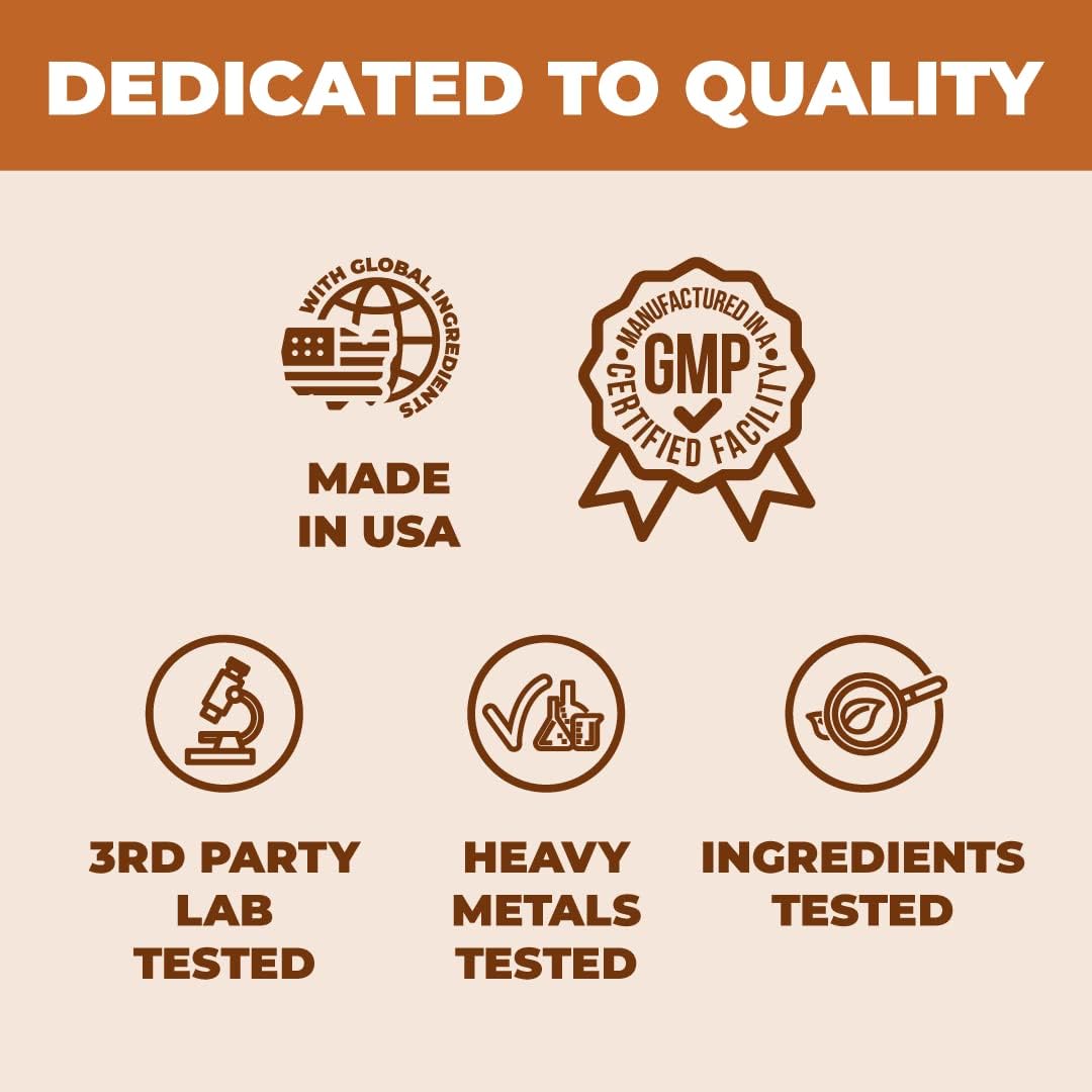 10-in-1 Mushroom Supplement with Lions Mane, Turkey Tail, Cordyceps, Chaga, Reishi & More - Nootropic Brain Supplements for Memory & Focus. 10 Mushroom Complex Supports Immune System & Energy. 60 Caps : Health & Household