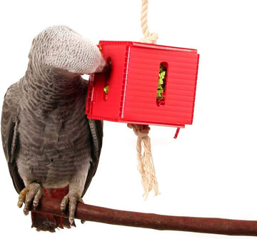 Zoo-Max Crinkle Paper Box, 3-Inch741