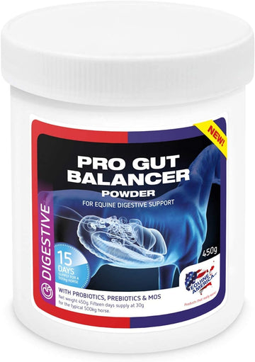 Equine America Pro Gut Balancer | Premium Ready To Use Horse & Pony Supplement | Support For Digestive Function & Performance | 450G