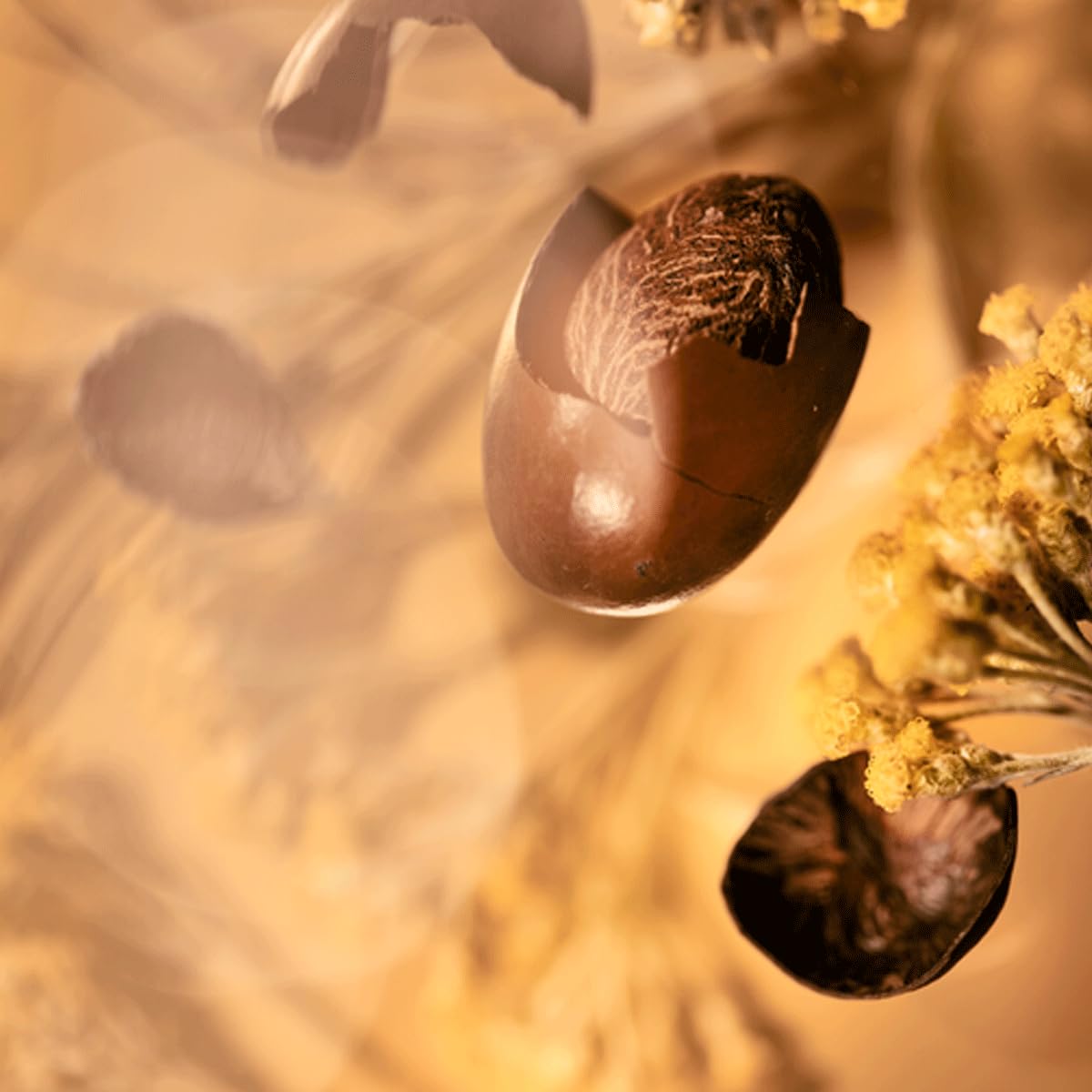 L'Occitane Shea Body Fabulous Oil With 5% Shea Oil 3.30 Fl Oz : Beauty & Personal Care