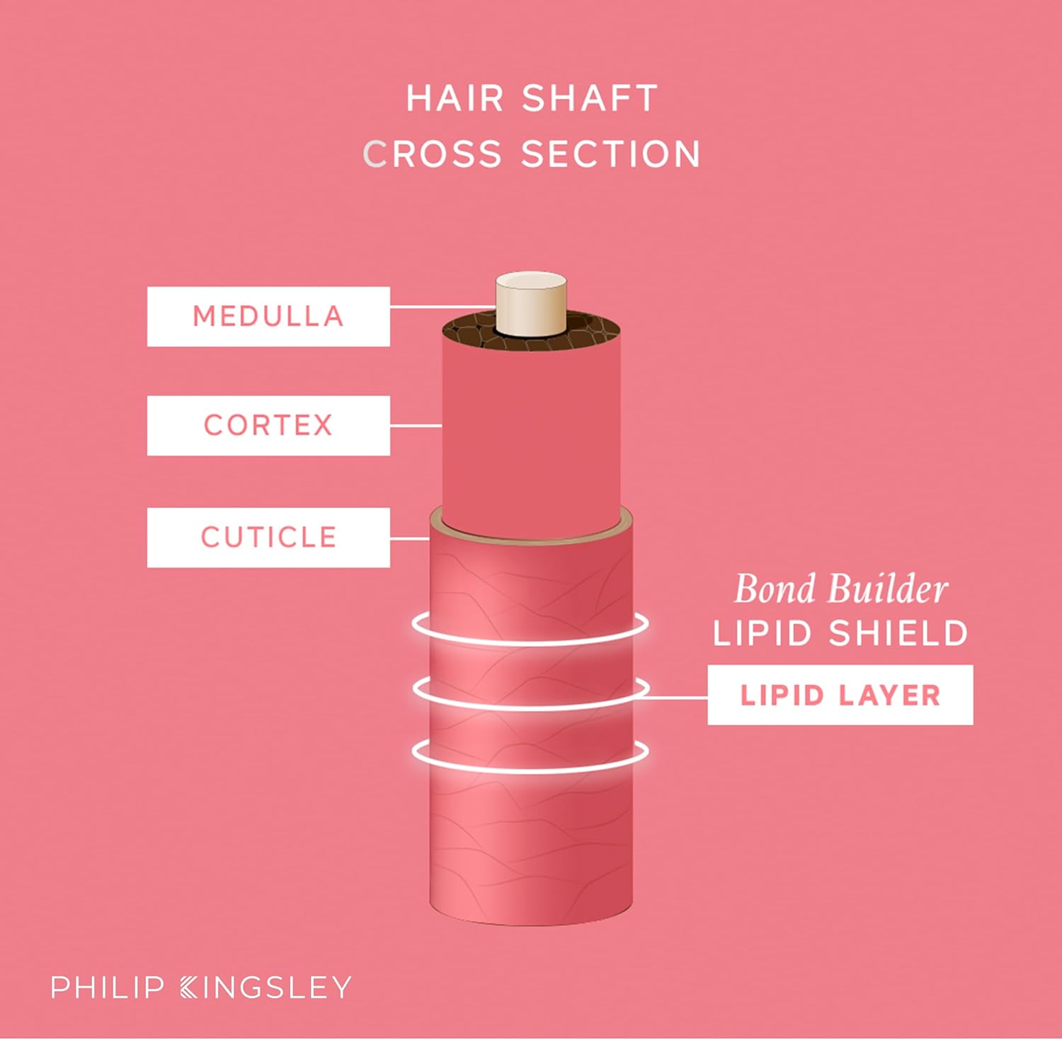 Philip Kingsley | Bond Builder Lipid Shield | Restorative Hair Oil Treatment for Dry and Damaged Hair | Heat Protectant Hair Moisturizer that Replenishes Dry and Damaged Hair | 30ml : Amazon.co.uk