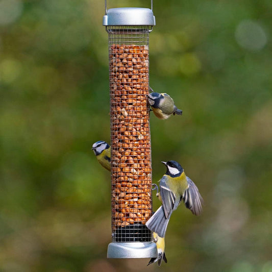 Jacobi Jayne Ring-Pull Click Medium Peanut Feeders, Zinc BirdRp3-P2Z