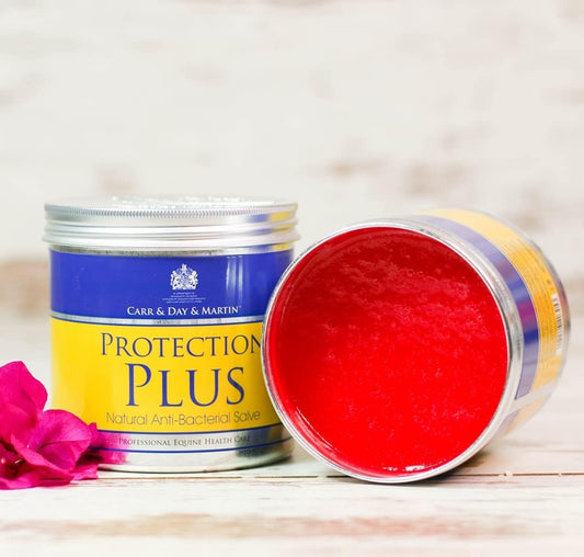 Carr & Day & Martin Protection Plus 500g : Amazon.co.uk: Pet Supplies