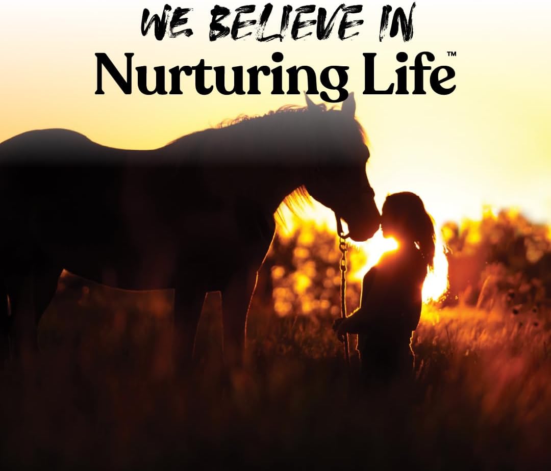 Manna Pro Bite-Size Butterscotch Flavored Nuggets, 4 lb