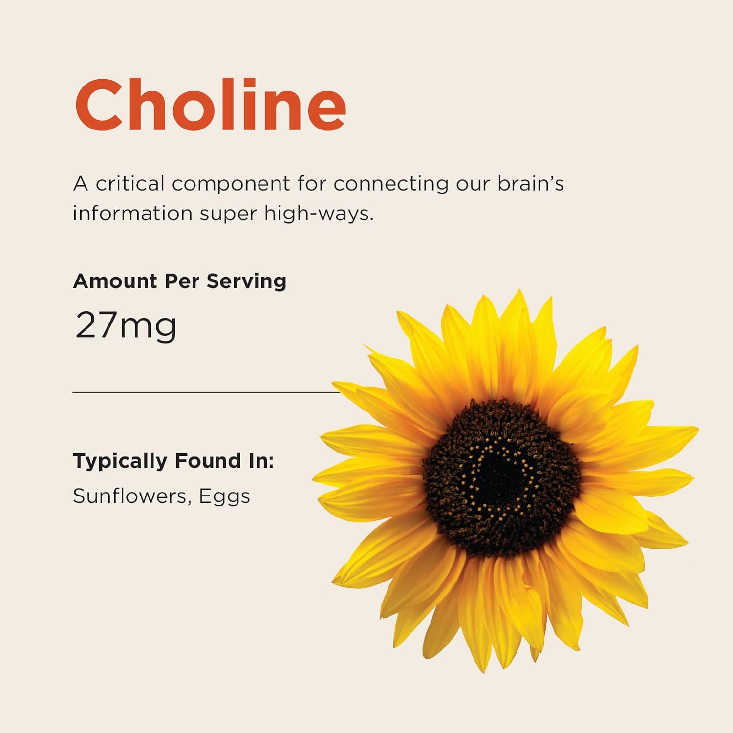 Brainiac Kids Daily BrainPack Gummies, Supports Brain Health with Omega 3 DHA EPA DPA, Choline, B6 & B12 and Lutein for Eye Health with Immune Support, Citrus Berry Flavor, 90 ct : Health & Household