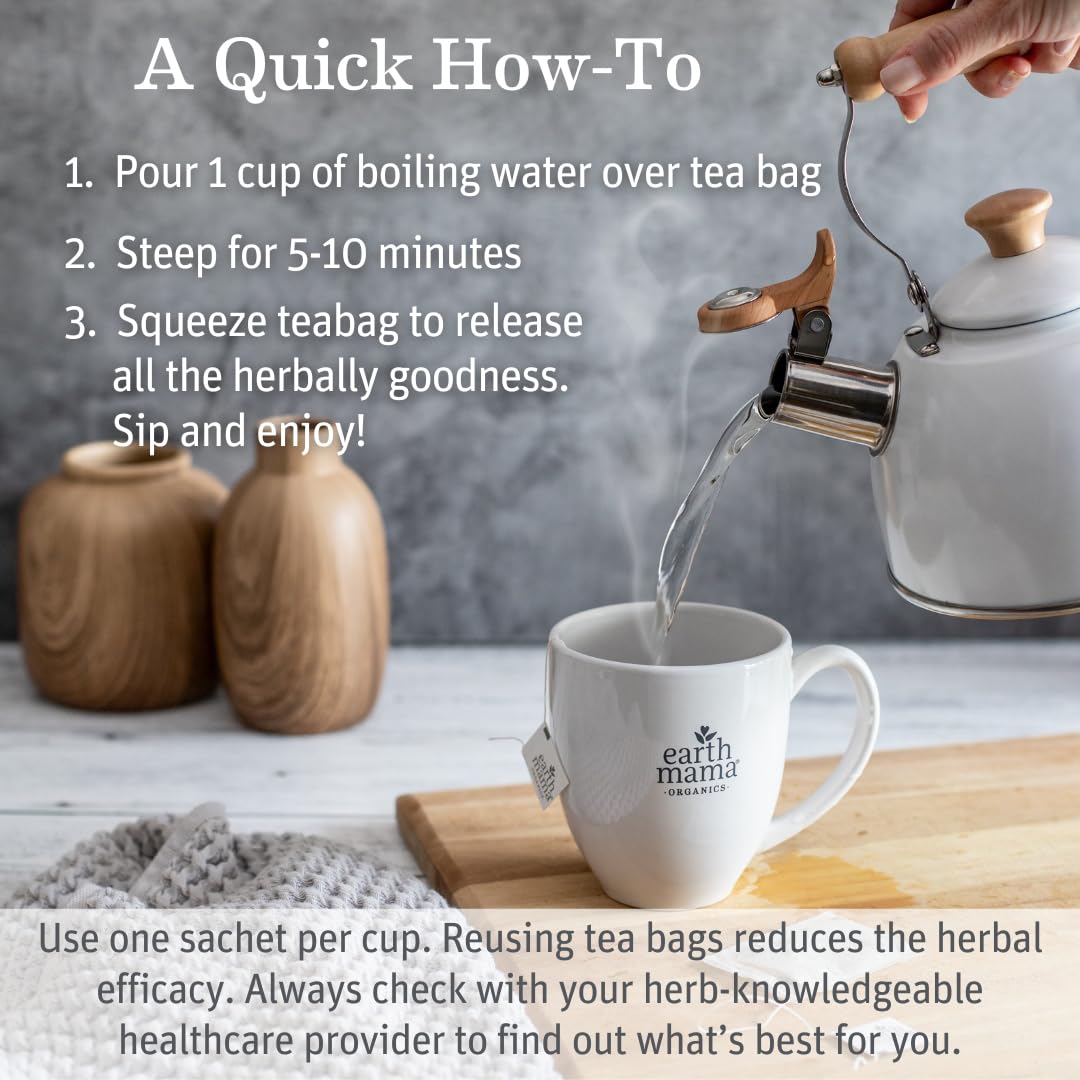 Earth Mama Organic Ginger Nausea™ Tea | Comforts Occasional Nausea + Morning Sickness, 16 Teabags Per Box