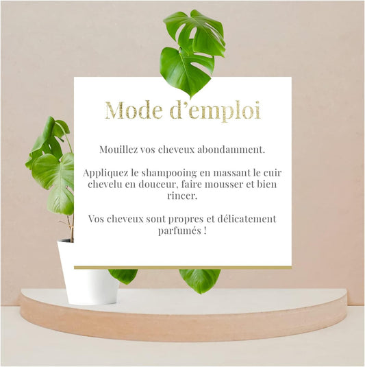 Arganicare | Shampoo 400 Ml + Conditioner 400 Ml + Keratin Serum 100 Ml | Intensely Regenerates Hair | Prevents & Treats Split Ends | Soft & Shiny Hair | Made In France