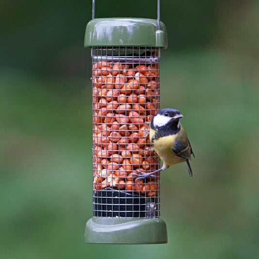 Jacobi Jayne Ring-Pull Click Small Peanut Feeder, Green BirdRp3-P1G