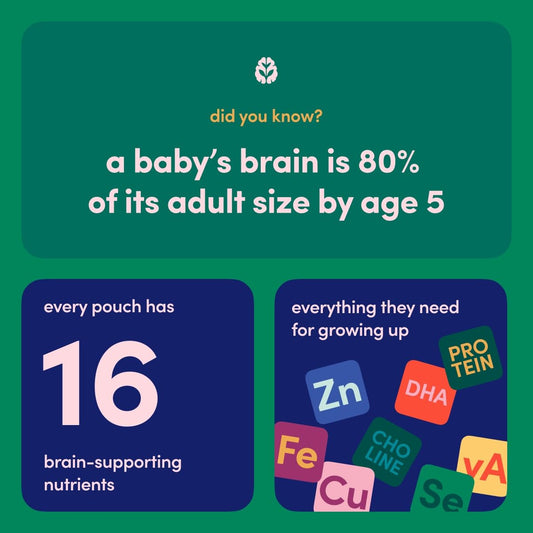 Cerebelly Organic Baby Food Pouches, Kale Sweet Potato Apple With Sunflower Seed Butter, Organic Fruit & Veggie Purees, Great Snack For Toddlers, Usda Certified Organic, Non-Gmo, 4 Ounce (Pack Of 12)