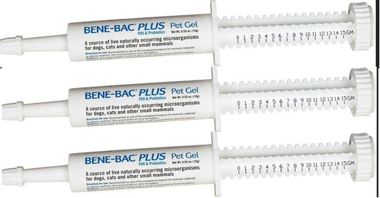 (3 Pack probiotique Pet Gel 15g Chaque X 3 Seringues : Pet Supplies