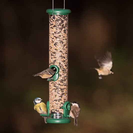 Ring-Pull To-S2G Medium Bird Feeder For Seeds - GreenTo-S2G