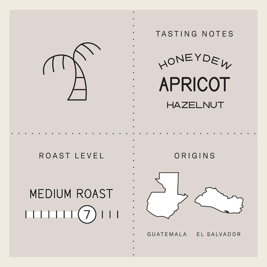 Verve Coffee Roasters Whole Bean Coffee Seabright House Blend | Medium Roast, Brewed Or French Press, Direct Trade, Resealable Pouch | Enjoy Hot Or Cold Brew | 12Oz Bag