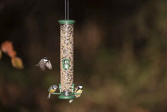 Jacobi Jayne Ring Pull Medium Bird Feeder Birdfeeder For Seeds, Sunflower And Blends 4 Port