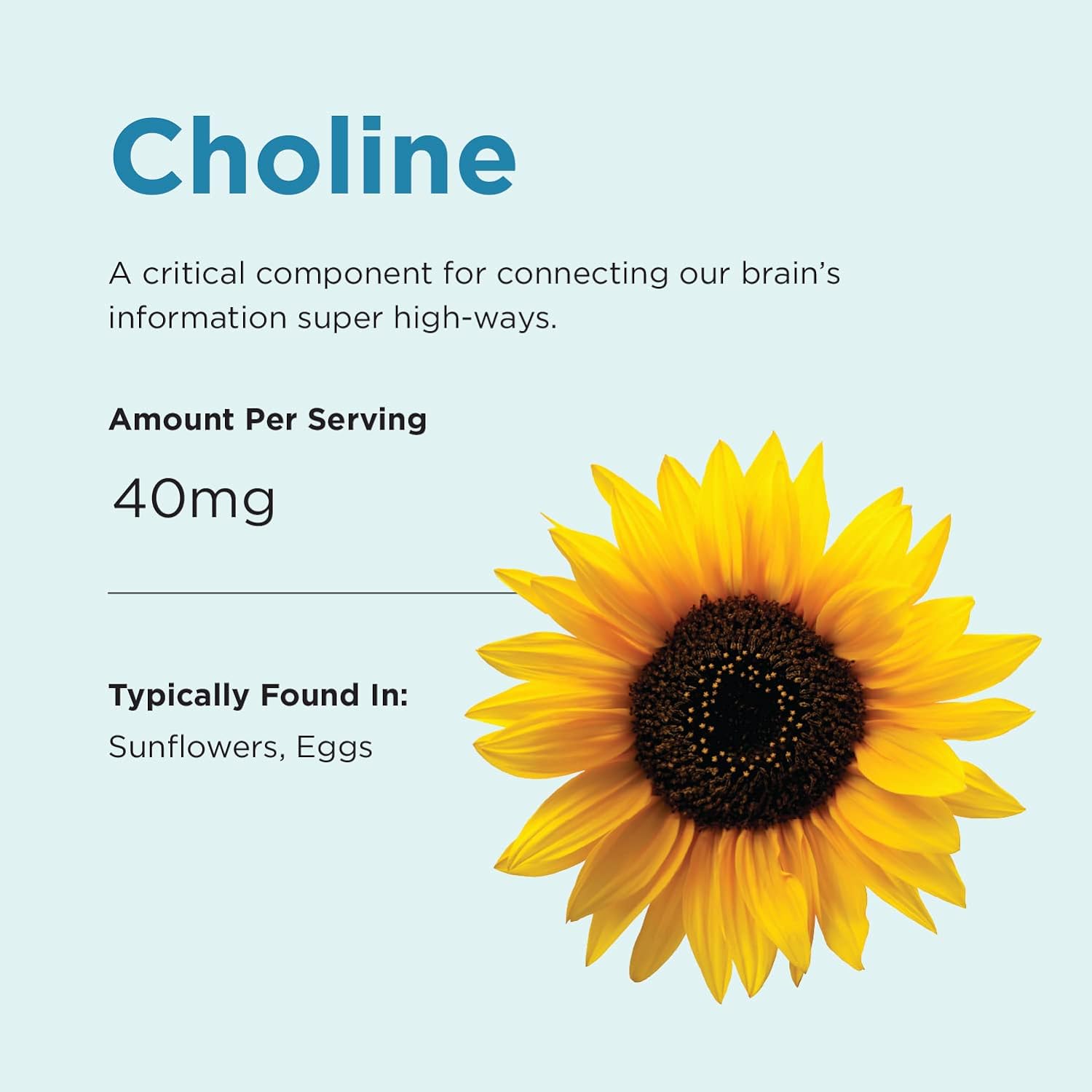 Brainiac Daily BrainPack Gummies, Supports Brain Health with Omega 3 DHA EPA DPA, Choline, B6 & B12 and Lutein for Eye Health with Immune Support, Citrus Berry Flavor, 90 ct : Health & Household